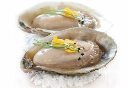 Kiwa Oyster